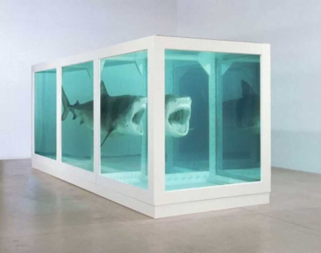 Damien Hirst / The Physical Impossibility of Death in the Mind of Someone Living